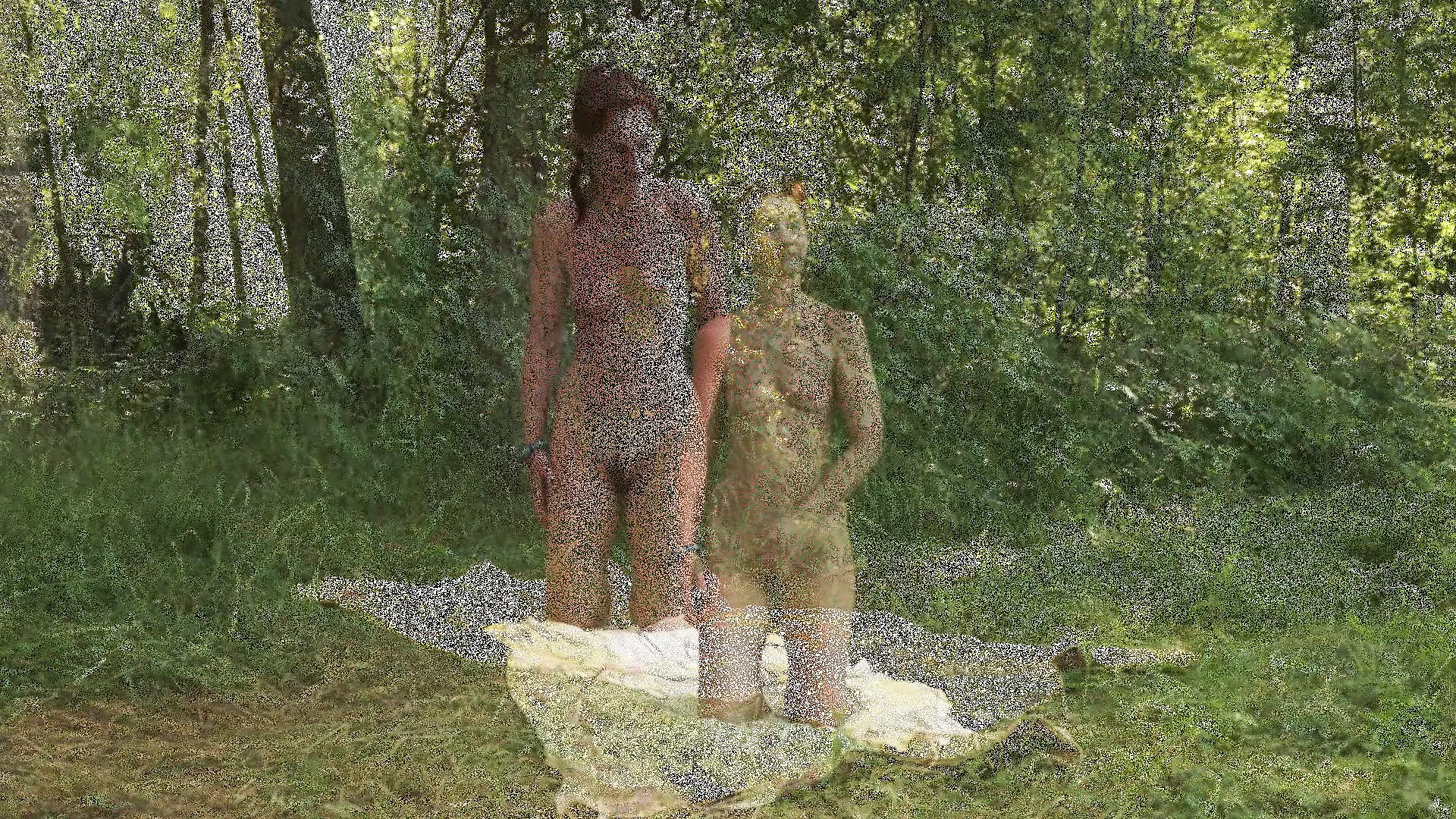 Various Sex in Forest Glade 