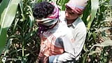 Trio indien gay - un ouvrier de ferme et un fermier qui emploie l’ouvrier baisent dans un champ de maïs - film gay avec audio en hindi snapshot 11