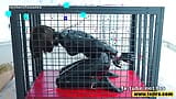 Fejira com A latex-clad slave in a cage like a dog snapshot 2