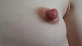 My little tits and big nipples snapshot 3