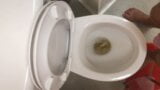 Pissen in die Toilette - POV-Schwanz snapshot 5