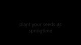 plant your seeds its springtime snapshot 1