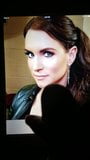 Stephanie McMahon 17 snapshot 7