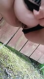 Pissing in neighbours garden after night out snapshot 3