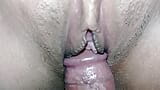 Follando a mi hermanastra virgen y corriéndome en su coño caliente snapshot 5