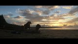 Jolie asiat baisee au crepuscule sur la plage snapshot 11