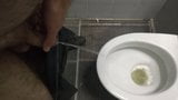 Piss and cum in motorway pubblic toilette snapshot 2