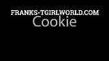 FRANKS-TGIRLWORLD: Cookie, Alone In Pleasure! snapshot 1