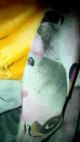 Bir partiyada blowjobs beradigan qizlar