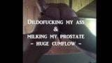 Huge cumflow milking my prostate snapshot 1