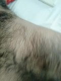 Brincando com o corpo peludo .. snapshot 4