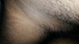 Sri lankan Hairy chubby ass bareback - 1 snapshot 7