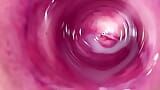 Cámara en el interior de la vagina apretada de Mia, el coño más cremoso snapshot 10