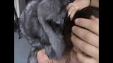 Blowjob in fur coat snapshot 8