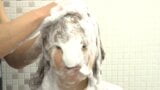 Japanese Hair Washing snapshot 11