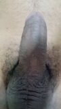 My dick horny snapshot 9