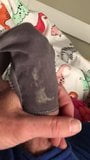 Wife’s dirty panties snapshot 8