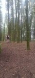 Ein kurzes Aufblitzen im Wald snapshot 2