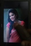 Veena nandhakumar het kuk hyllning snapshot 4