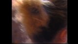 Các clip khiêu dâm số 4 (1993): - supercut snapshot 19