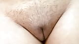 Desi Indian hot pussy snapshot 3