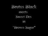 Sweet Des Meets Brutus Black snapshot 1