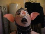 豚を養う snapshot 2