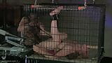 Action BDSM torride pour une blonde sexy attachée dans une cage et se termine par des godes robotiques snapshot 6