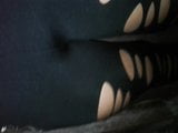 cameltoe touching snapshot 3