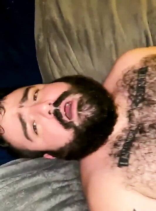 Daddy Bear