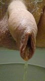 Foreskin piss snapshot 1