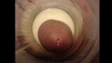 Inside Fleshlight snapshot 5