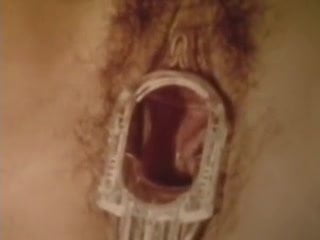 Celeb Porn Stars: Free Retro Porn Video df | xHamster