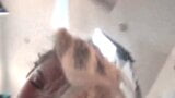 Geile Snapchat-Amateur-MILF Lilly bekommt ihre nasse Muschi gefickt snapshot 6