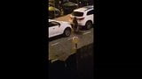 Woman strips and pisses in the street at 4am snapshot 7