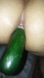 Sissy guy inserts big cucumber in solo fetish snapshot 2