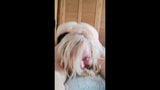 Cheveux blonds, cul bleu grassouillet snapshot 1