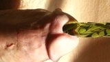 Green Spiral Glass Sound snapshot 3