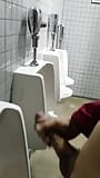 Johnholmesjunior flashing his monster cock in public mens vancouver park bathroom PT1 snapshot 9