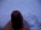 Cock in snow 2 snapshot 3