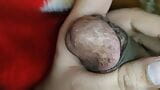 Masturbation in Blanket, Hairy Penis, Hairy Ass snapshot 12