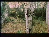 Jouissance и Soumissings (1975) полный фильм snapshot 16