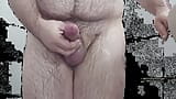 Pompa per pene snapshot 10