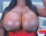 आबनूस माँ के साथ विशाल स्तन snapshot 3