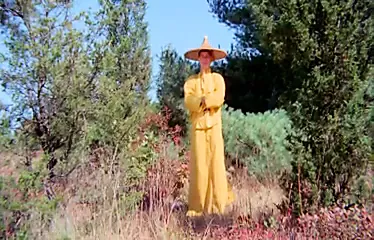 The Vixens of Kung Fu a Tale of Yin Yang 1975 Funny Porn xHamster 