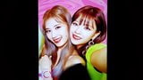 TWICE Sana and Jeongyeon Cum Tribute snapshot 3