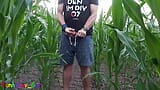 Fun in the cornfield, jerk off and use a condom snapshot 2