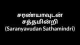 Tamil Aunty Saranyavudan Sathamindri snapshot 4