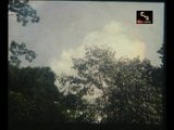 Pasadiyagini sinhala หนังเย็ดกัน snapshot 3