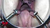 The mistress' cunt is opened with a hole expander so that you can study her cervix. snapshot 9